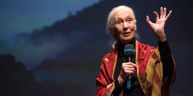Goodall Jane - Unsere Tiere - Tierschutz-CH - Jane Goodall Lecture - Storybild