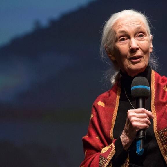 Goodall Jane - Unsere Tiere - Tierschutz-CH - Jane Goodall Lecture - Storybild