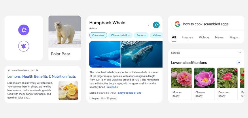 Google: Suchmaschine mit neuem Design