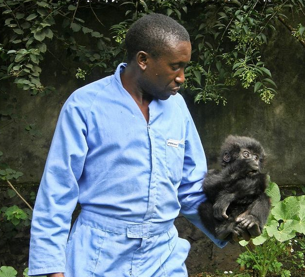 virunganationalpark/Instagram