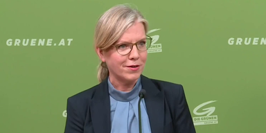 Grüne Drei-Punkte-Plan für gerechte Arbeit.png