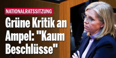 Grüne Kritik an Ampel: 