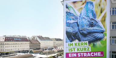 Grüne Wahlplakat