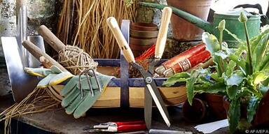 Gr&uuml;ndlich reinigen und mit &Ouml;l einreiben