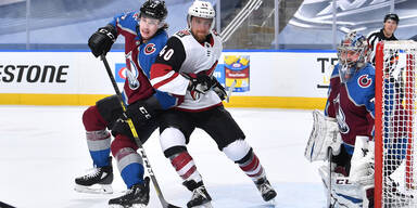 NHL-Play-offs: Grabner-Aus nach Debakel