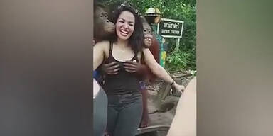 Hier laust sie der geile Affen-Grapscher