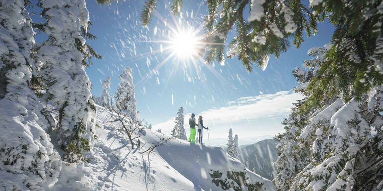 Darum ist der Bayerische Wald das perfekte Winterziel