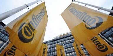 Gro&szlig;aktion&auml;r Schaeffler ist skeptisch