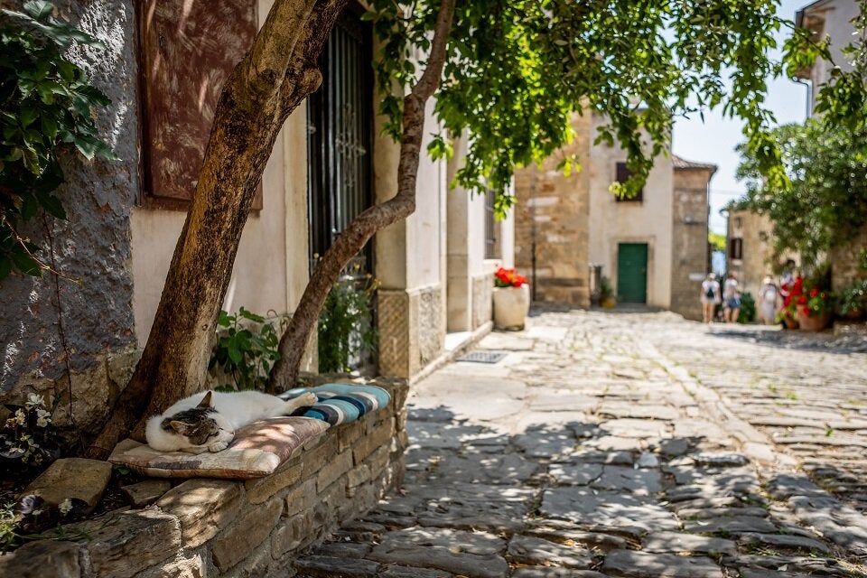 Kroatien Advertorial Sicherheit Nov./Dez 25 Groznjan