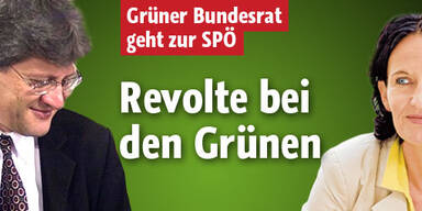 Grüner Schennach wechselt zur Wiener SPÖ