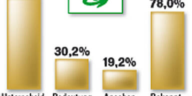 Der große Politiker-Check