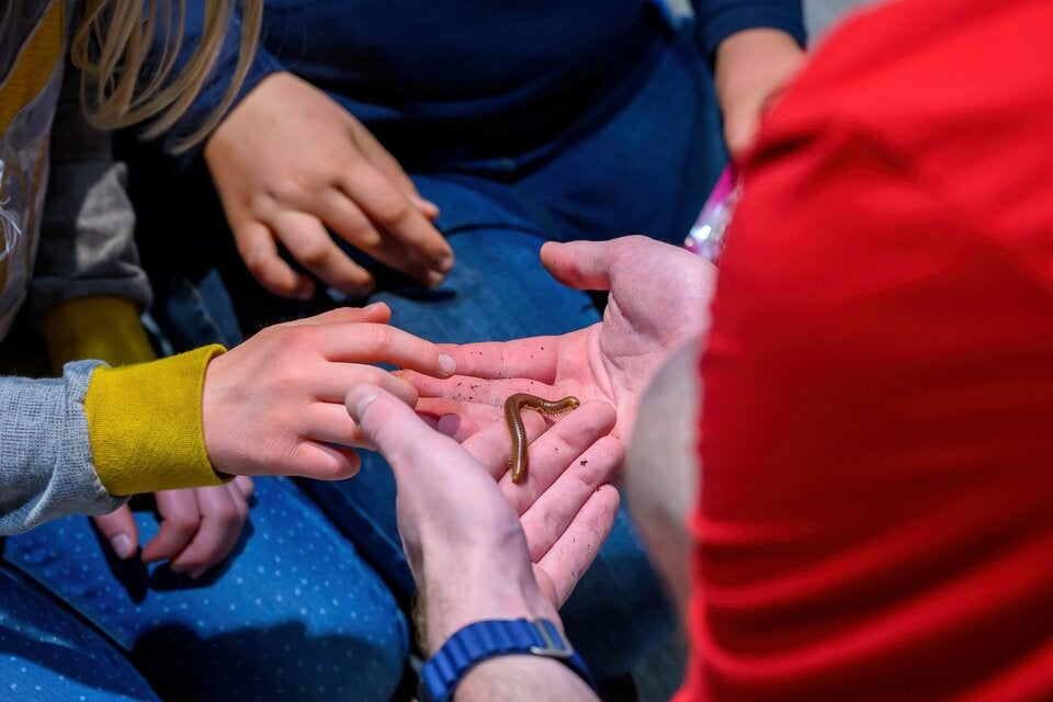 Halloween-Special im Haus des Meeres: Gruselspaß für Groß und Klein.