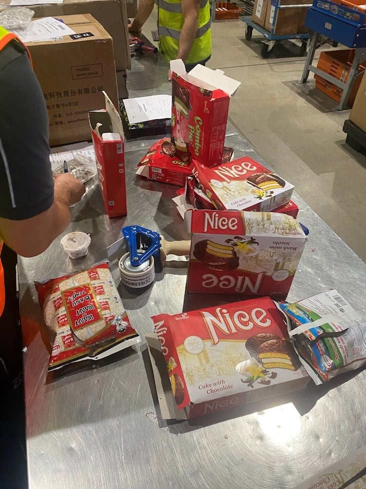 Kölner Flughafen: 1.500 Vogelspinnen in angeblicher Keks-Lieferung gefunden