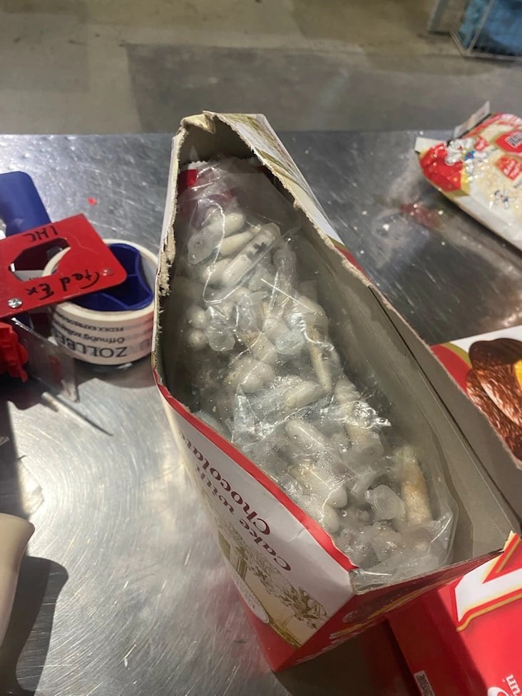 Kölner Flughafen: 1.500 Vogelspinnen in angeblicher Keks-Lieferung gefunden