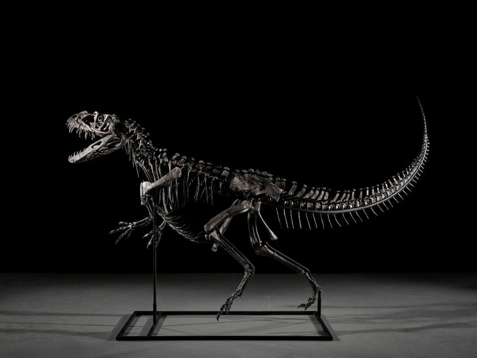 Rekordpreis: Stück vom Mars für 4,5 Mio. Euro versteigert