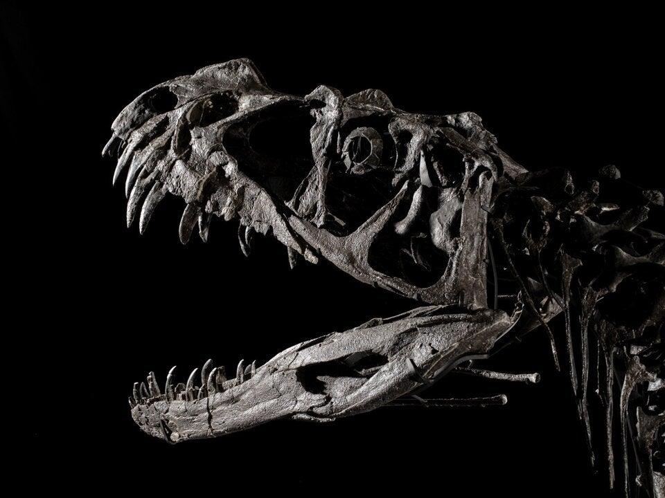 Rekordpreis: Stück vom Mars für 4,5 Mio. Euro versteigert