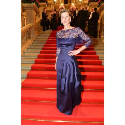 VOTING: Die schönste Opernball-Robe 2014