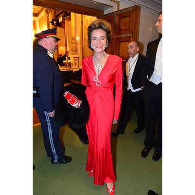 Die schönsten Opernball-Roben 2014