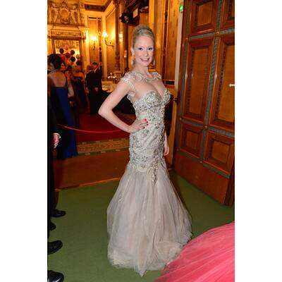 Die Stars am Opernball 2014