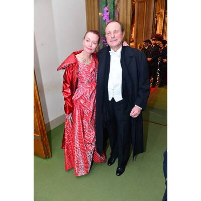 Die Stars am Opernball 2014