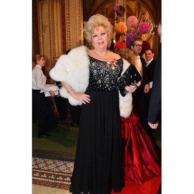 Die Stars am Opernball 2014