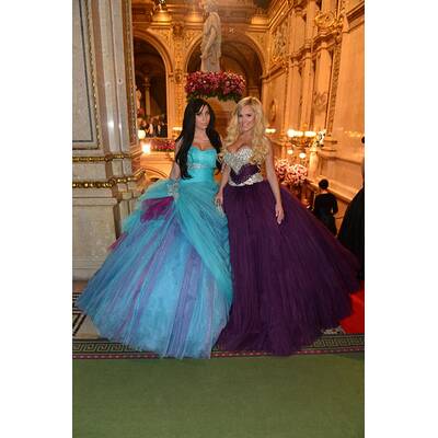 Opernball 2014: Die schönsten Momente