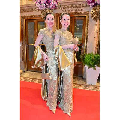 Die Stars am Opernball 2014