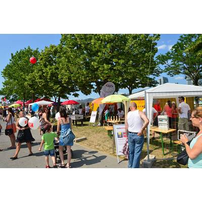 DIF 2013 - 1. Rundgang