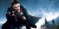 Mega-Hype um neuen Harry Potter