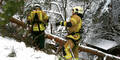 Schnee Baum Feuerwehr