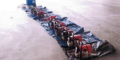 Kettensägen Diebstahl