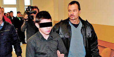 Landesgericht Wien Messerstecher Prozess Täter (15)