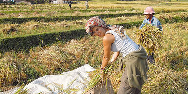 Reiler: Auf Weltreise mit falschem Gepäck