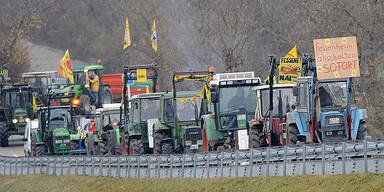 AKW Fessenheim Protest