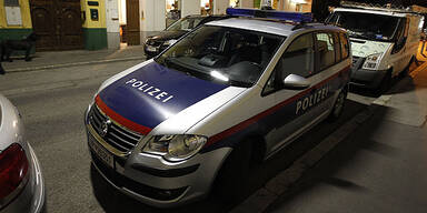 polizeiauto wagen