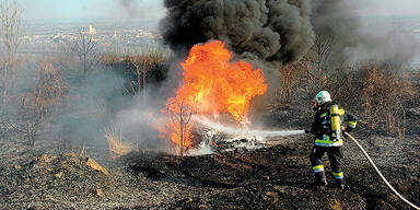 Hier verbrennt 250.000-Euro-Bolide