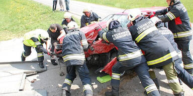 Crash: Reh verursacht Totalschaden