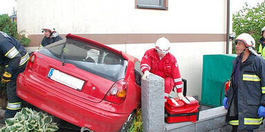 Crash: Reh verursacht Totalschaden