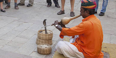 Schlangenbeschw&ouml;rer