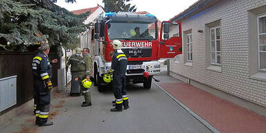 Schlangen-Alarm in Leobersdorf