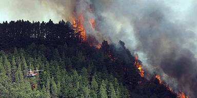 Waldbrand Kanaren