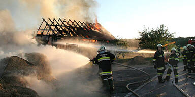 Stall fing Feuer: 22 Schafe verendet   
