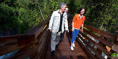 Faymann & Glawischnig: Rot-grüne Sommerliebe