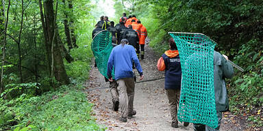 Luchs entkommen - Kein Strom im Zaun