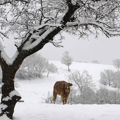 Mailand - Mailänder Dom (Italien)