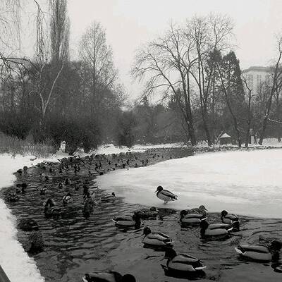 Schneelandschaft bei St. Veit an der Glan