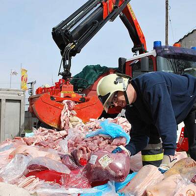 LKW voller Rinderhälften umgekippt: 3 Verletzte