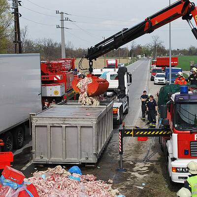 LKW voller Rinderhälften umgekippt: 3 Verletzte