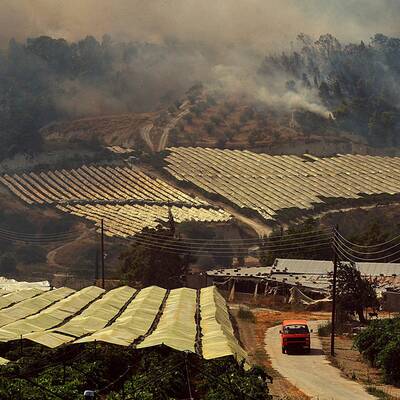 Griechische Feuerwehren im Großeinsatz