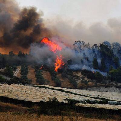 Griechische Feuerwehren im Großeinsatz